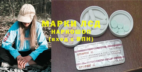прущие грибы Белокуриха