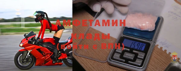 прущие грибы Белокуриха