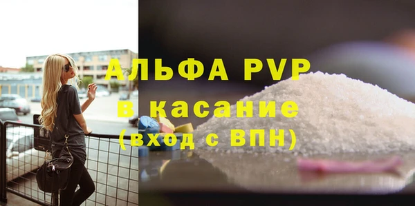 шишки Беломорск