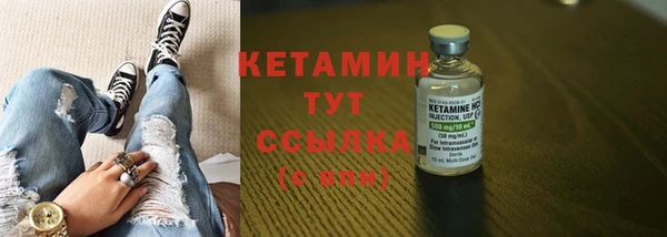 прущие грибы Белокуриха