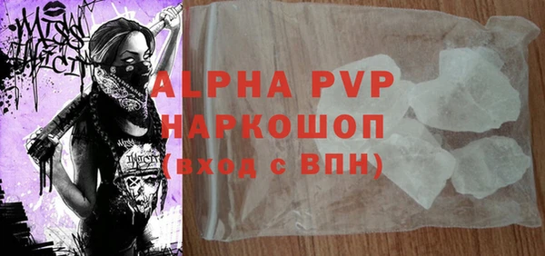 прущие грибы Белокуриха