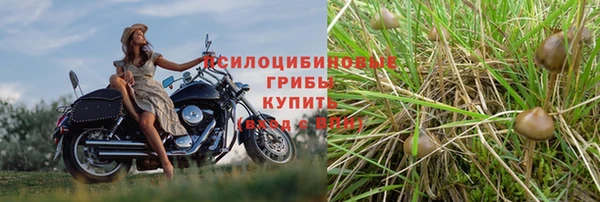 гидропоника Белоозёрский