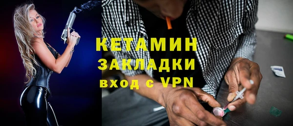 шишки Беломорск