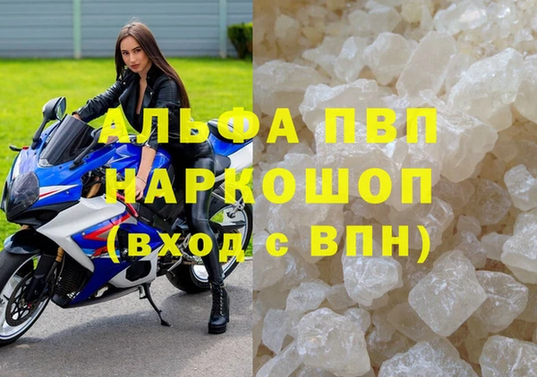 шишки Беломорск