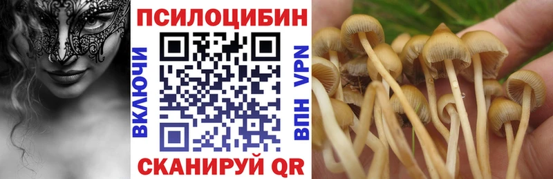 купить наркотики сайты  Иркутск  Псилоцибиновые грибы Psilocybe 
